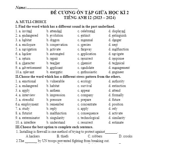 ĐỀ CƯƠNG ÔN THI GIỮA KÌ 2- TIẾNG ANH 12