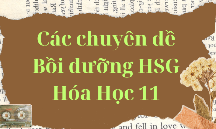 Các chuyên đề bồi dưỡng HSG Hóa Học 11 (455 trang)