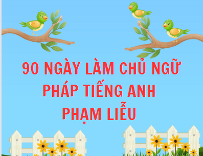 90 NGÀY LÀM CHỦ NGỮ PHÁP TIẾNG ANH PHẠM LIỄU (282 Trang)