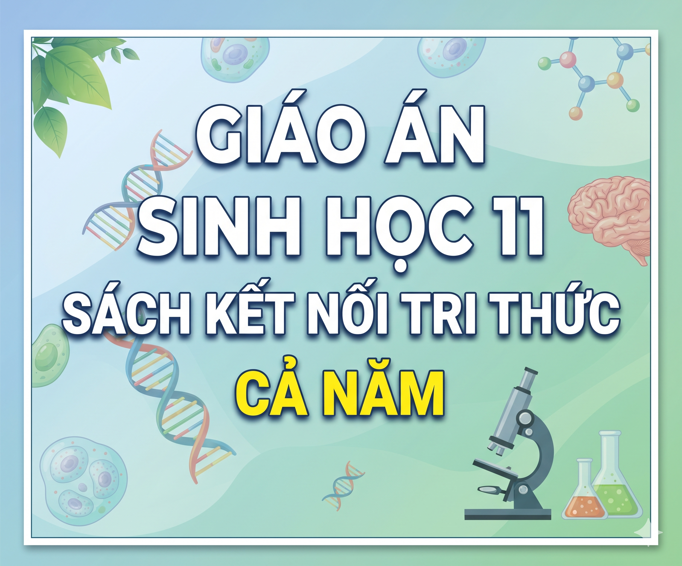 Giáo án Sinh học 11 sách Kết nối tri thức - Cả năm