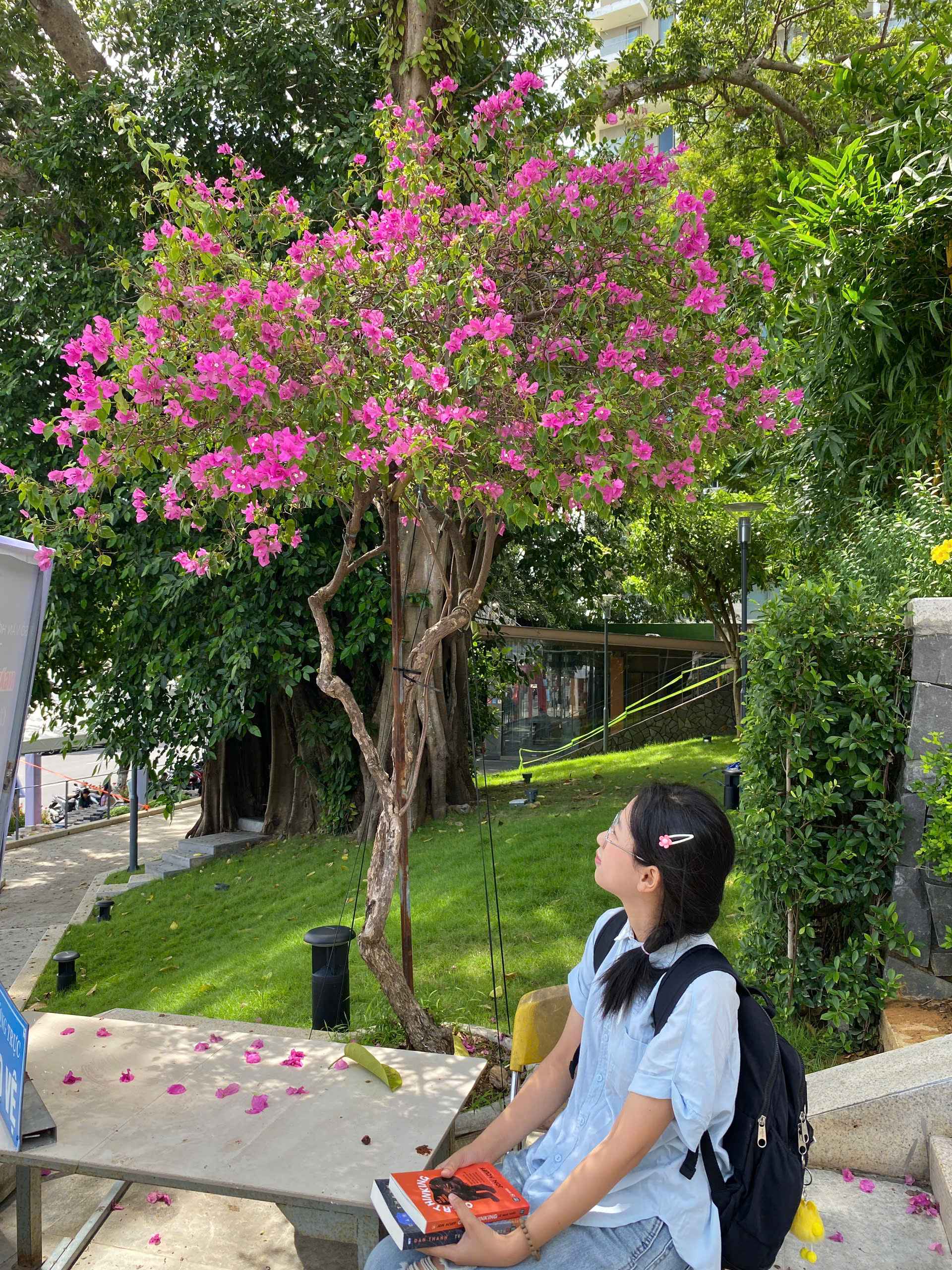 toiec4sks-hoc_5274531863